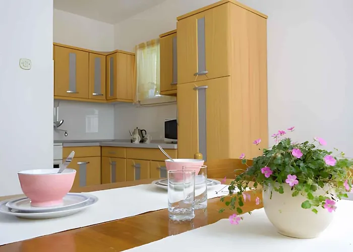 Apartment in Okrug Gornji 6169